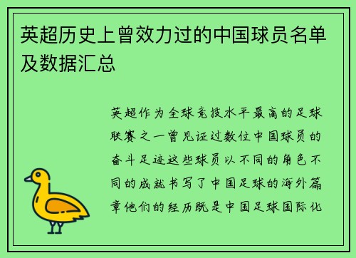 英超历史上曾效力过的中国球员名单及数据汇总